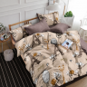 Комплект постельного белья бязь Парижское настроение 1