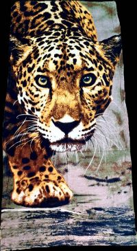 Полотенце пляжное Леопард  велюр/махра