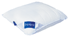 teol-pillow3o.gif