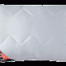 berga-pillow.gif