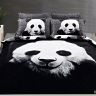 Panda.jpg