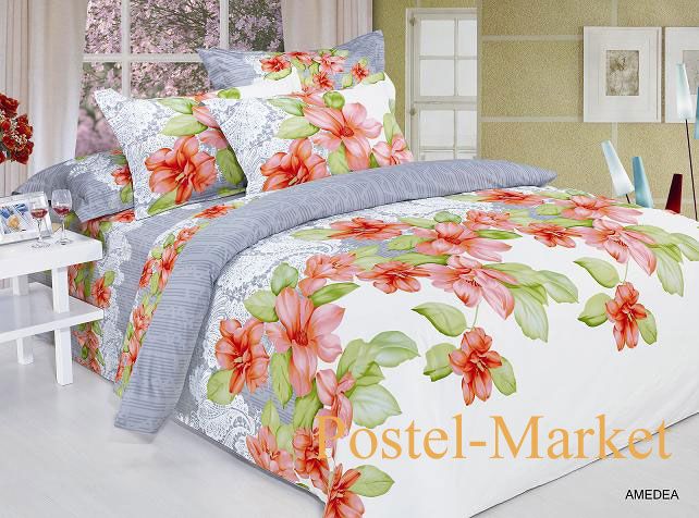 AMEDEA-_Postel-Market.jpg