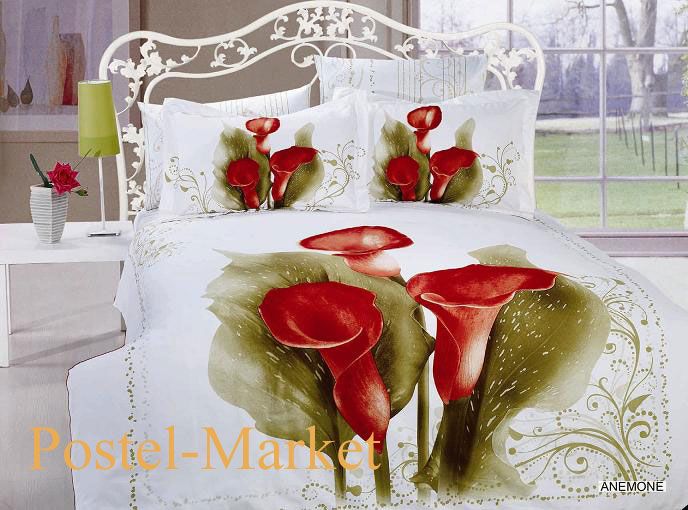 ANEMONE_Postel-Market.jpg ANEMONE_Postel-Market.jpg