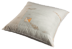 valencia-pillow.gif valencia-pillow.gif