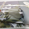 Набор постельного белья 3D print ранфорс Листва купить