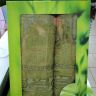 Набор зеленых бамковых полотенец